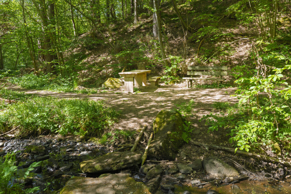 Rastplats med träbord och bänk i lummig lövskog vid Girabäcken i Jönköpings kommun, med en bäck i förgrunden