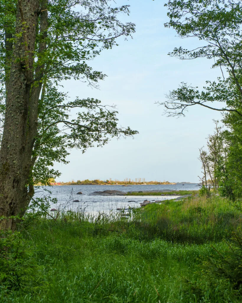 Utsikt över skärgården från Ekudden i Valdemarsvik, med grönt gräs, lövträd och klippor vid vattenbrynet en sommardag.