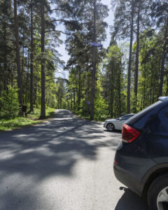 Parkeringsplats vid Grännaberget omgiven av höga tallar och lummig grönska, med bilar parkerade längs skogsvägen.