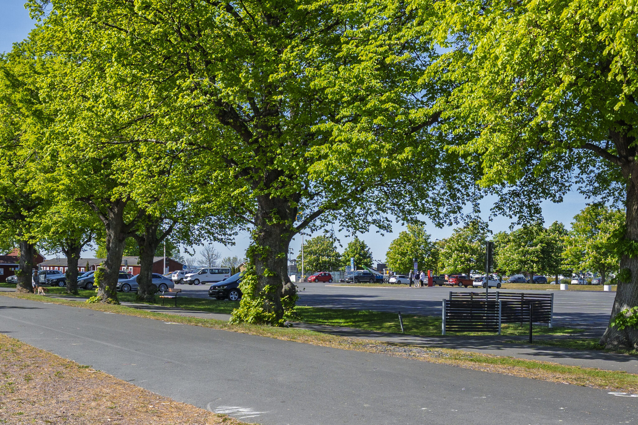 Stor parkering vid Gränna hamn omgiven av lummiga lövträd en solig sommardag, med bänk i förgrunden.