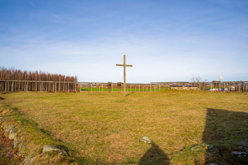 Gräsbevuxen klosterruin vid S:ta Ingrids kloster i Skänninge med ett träkors i mitten, omgärdat av stenmursfragment och staket.