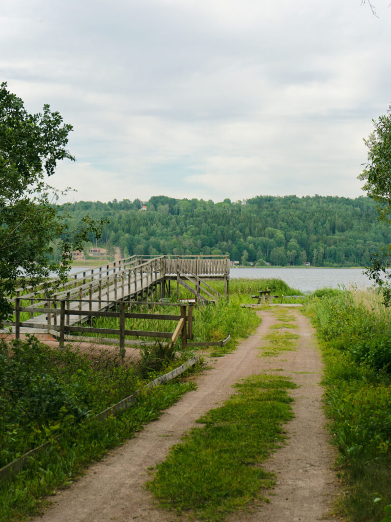 Träbrygga och utsiktsplattform vid Säbysjön omgiven av grönska, med lummig skog och sjöutsikt i bakgrunden.
