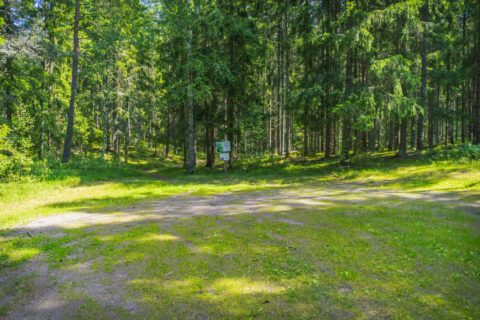 Grusad parkeringsplats vid skogsbrynet nära Trollstenen i Tranås kommun, med informationsskylt och stig in i grön sommarskog.