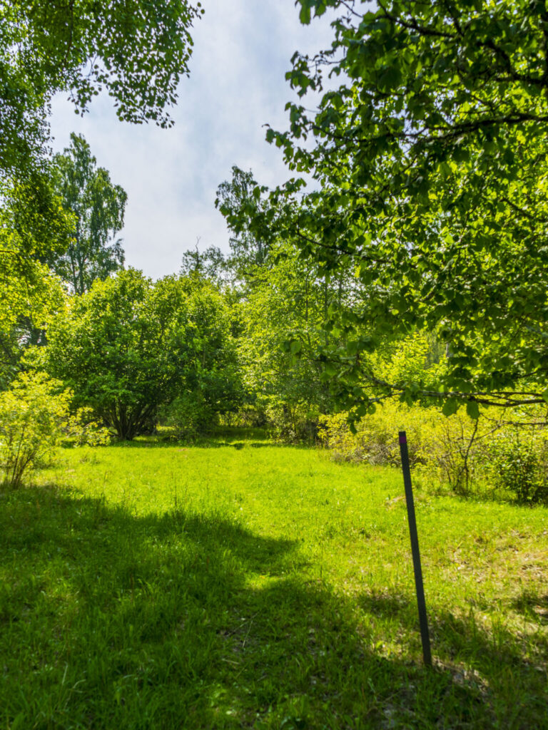 Grön glänta omgiven av lövträd vid Romanäs Västra promenaden i Tranås kommun, Småland.