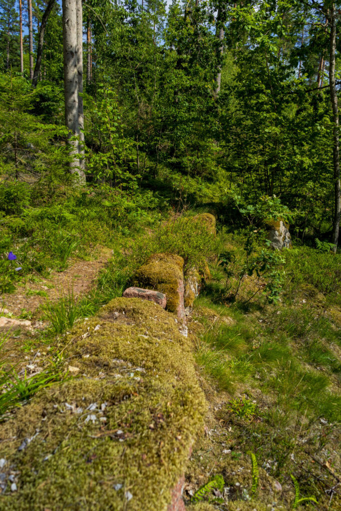 Mossbetäckt stenmur längs skogssti vid Romanäs västra promenad i Tranås kommun, Småland.