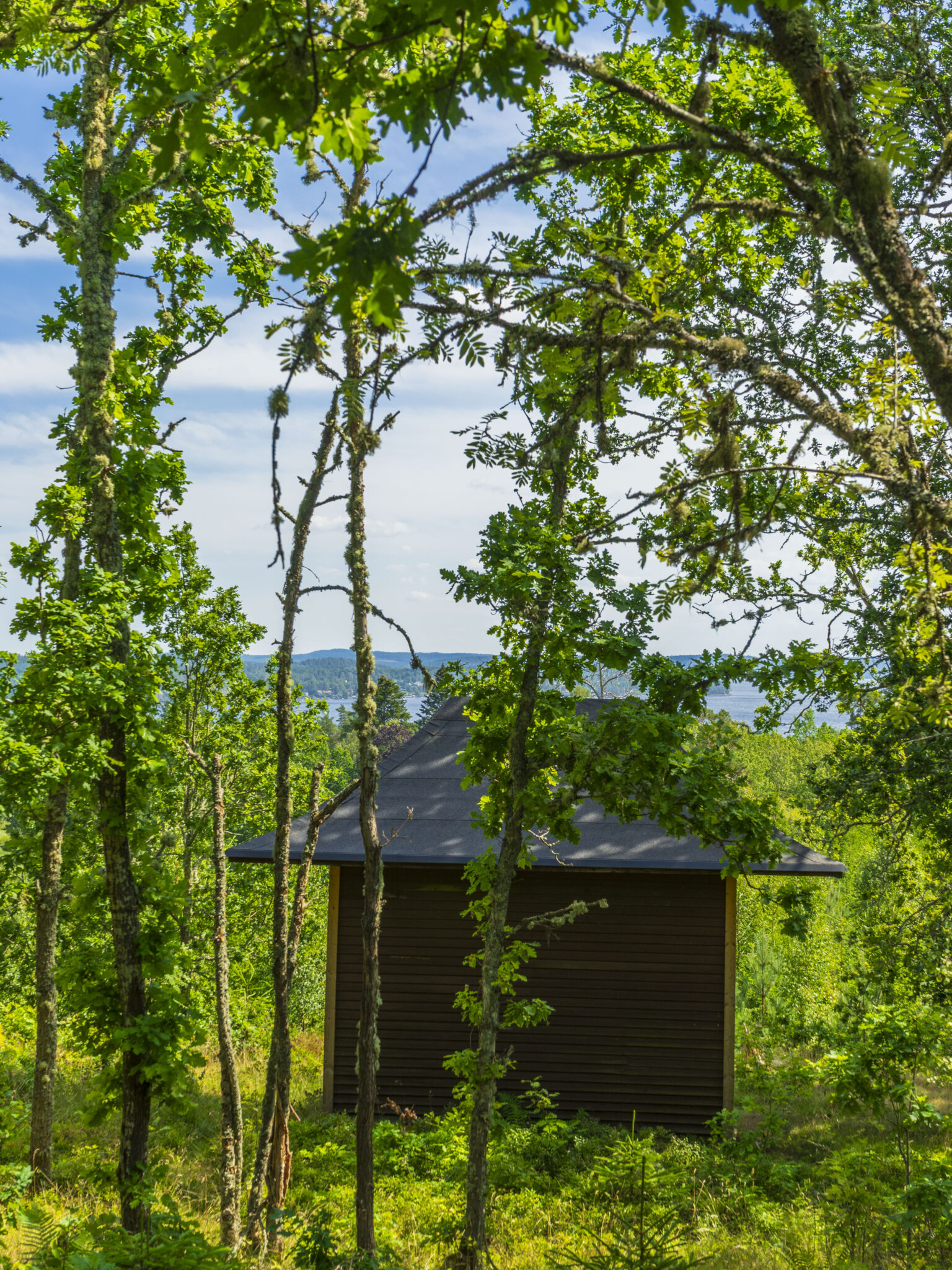 Mörk vindskyddad rastplats skymtar bland grönskande lövträd med utsikt över sjö och kullar vid Romanäs i Tranås kommun.