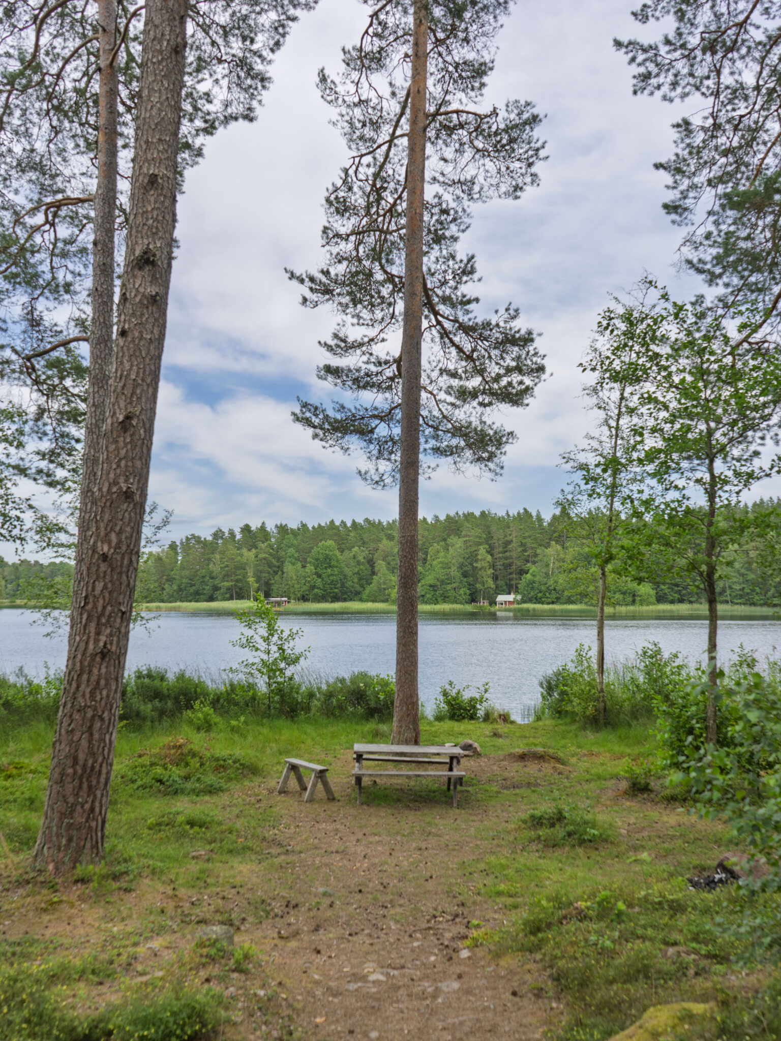 Rastplats med bänkar vid sjön Illern omgiven av tallar och grön natur i Tranås kommun, Småland.