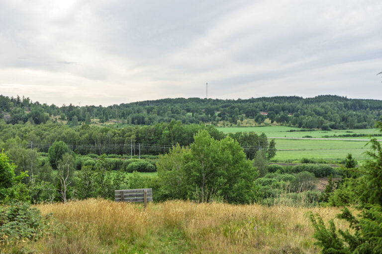 Utsikt över grönt odlingslandskap med lövträd, åkermark och skogsbeklädda kullar vid Abona i Tranås kommun.