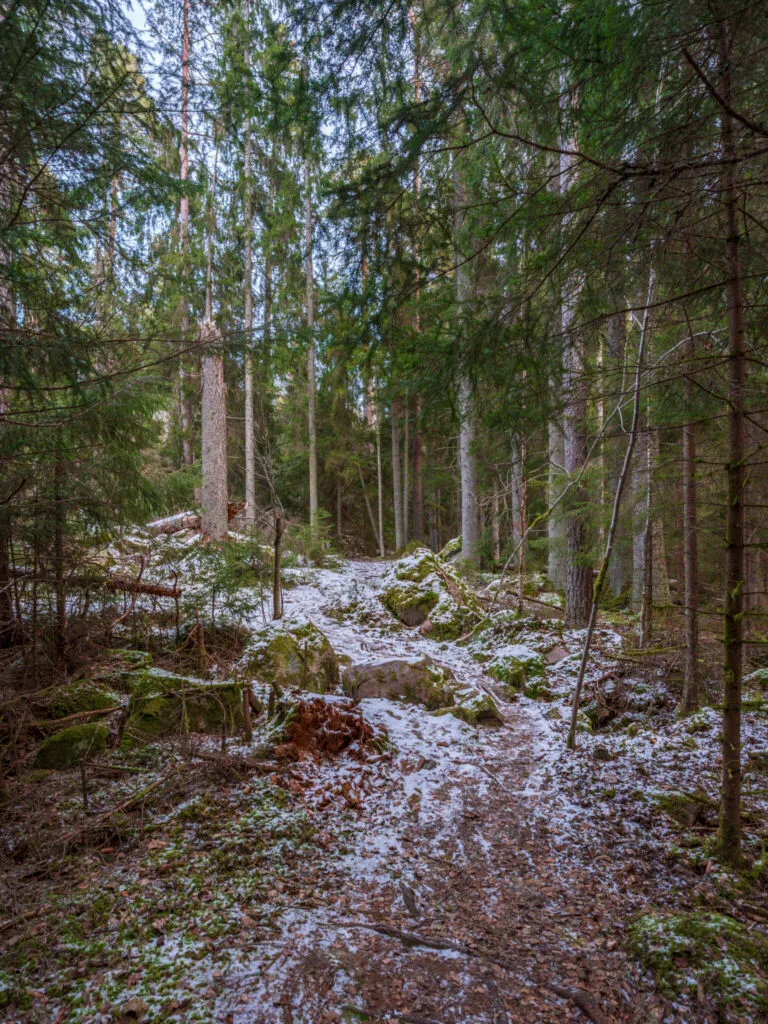 Stig genom vintrig skog med granar, mossiga stenar och lätt snötäcke i Säby Västerskog naturreservat.