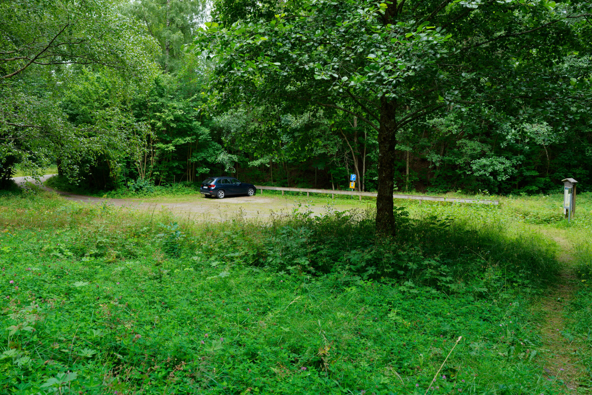 En bil parkerad på en gräsbevuxen parkering vid en skogskant