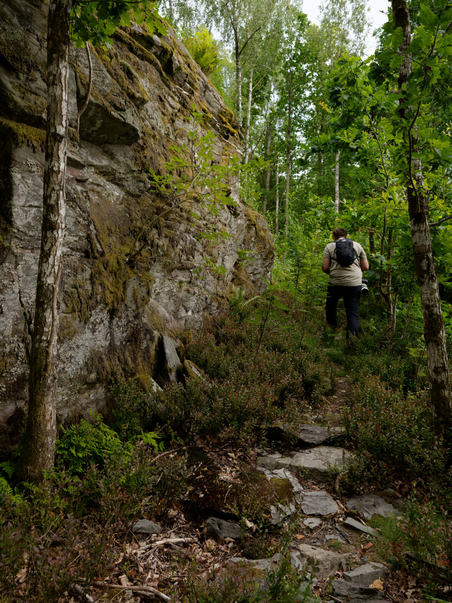 Person som vandrar på en stig i skogen bredvid en mossbevuxen klippa