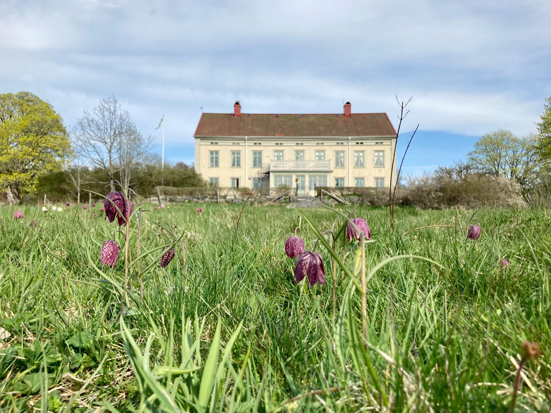 Herrgård de Lux